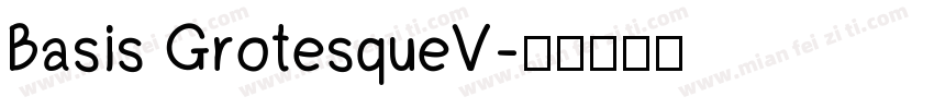 Basis GrotesqueV字体转换